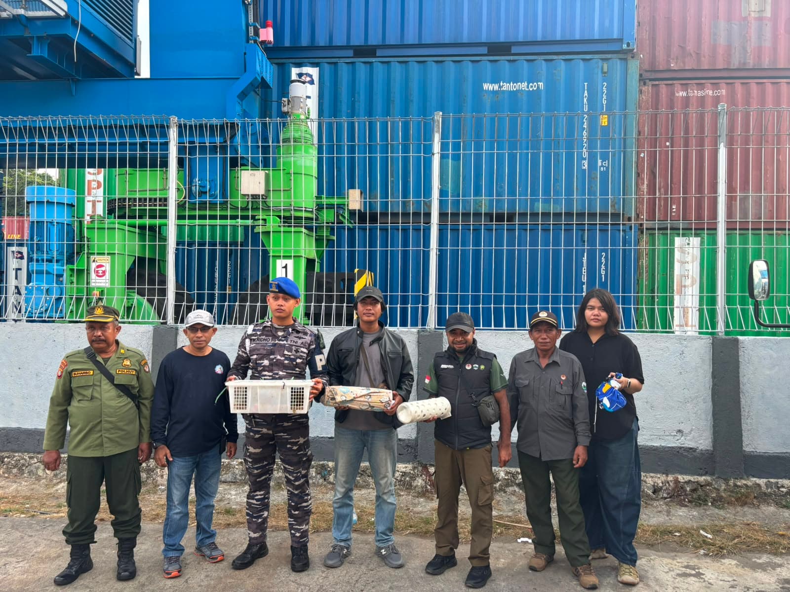 TNI AL dan BBKSDA Gagalkan Penyelundupan Satwa Dilindungi di Pelabuhan Sorong