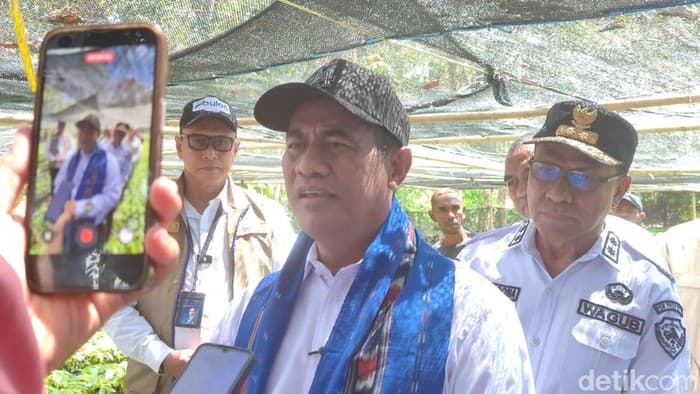 Mentan Pastikan Stok Beras Alor Aman Harga Turun Jadi Rp13 Ribu per Kilogram