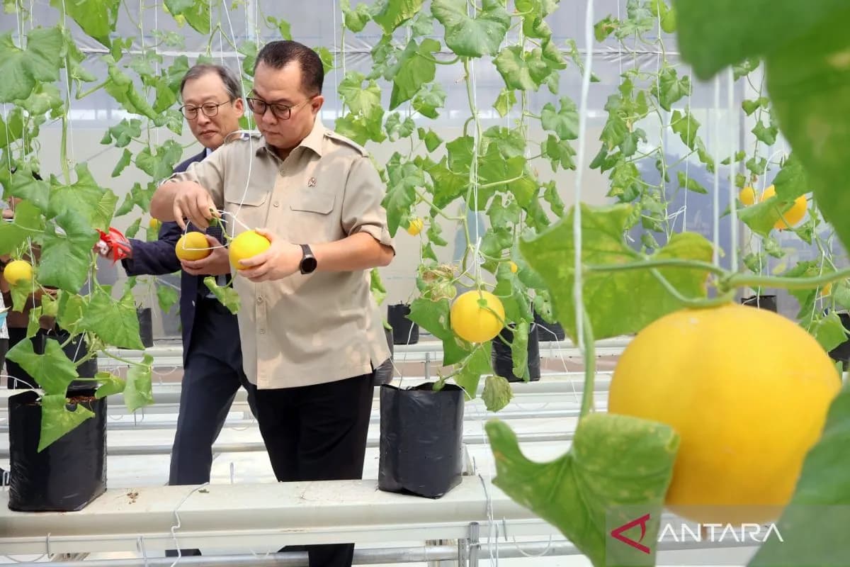 BRIN Siapkan Teknologi Tanggul Modular hingga Pemecah Ombak Limbah Plastik untuk Giant Sea Wall