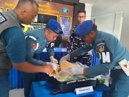 TNI AL Gagalkan Penyelundupan 39.000 Benih Lobster ke Singapura Senilai Rp1 Miliar di Juanda