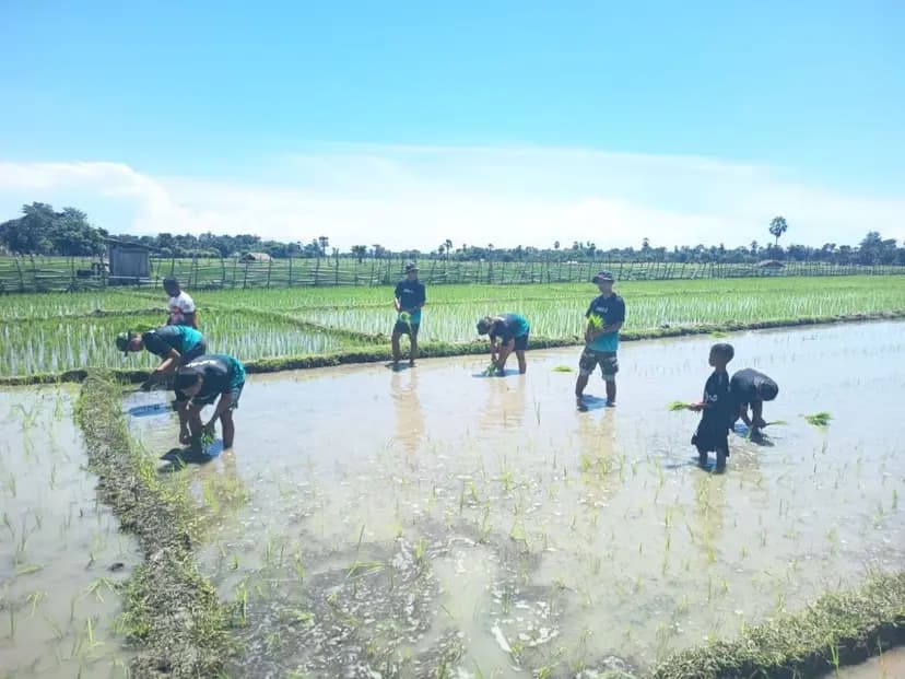 Satgas Yonarhanud 2 Kostrad Bantu Petani Tanam Padi, Perkuat Sinergi TNI dan Warga di Perbatasan