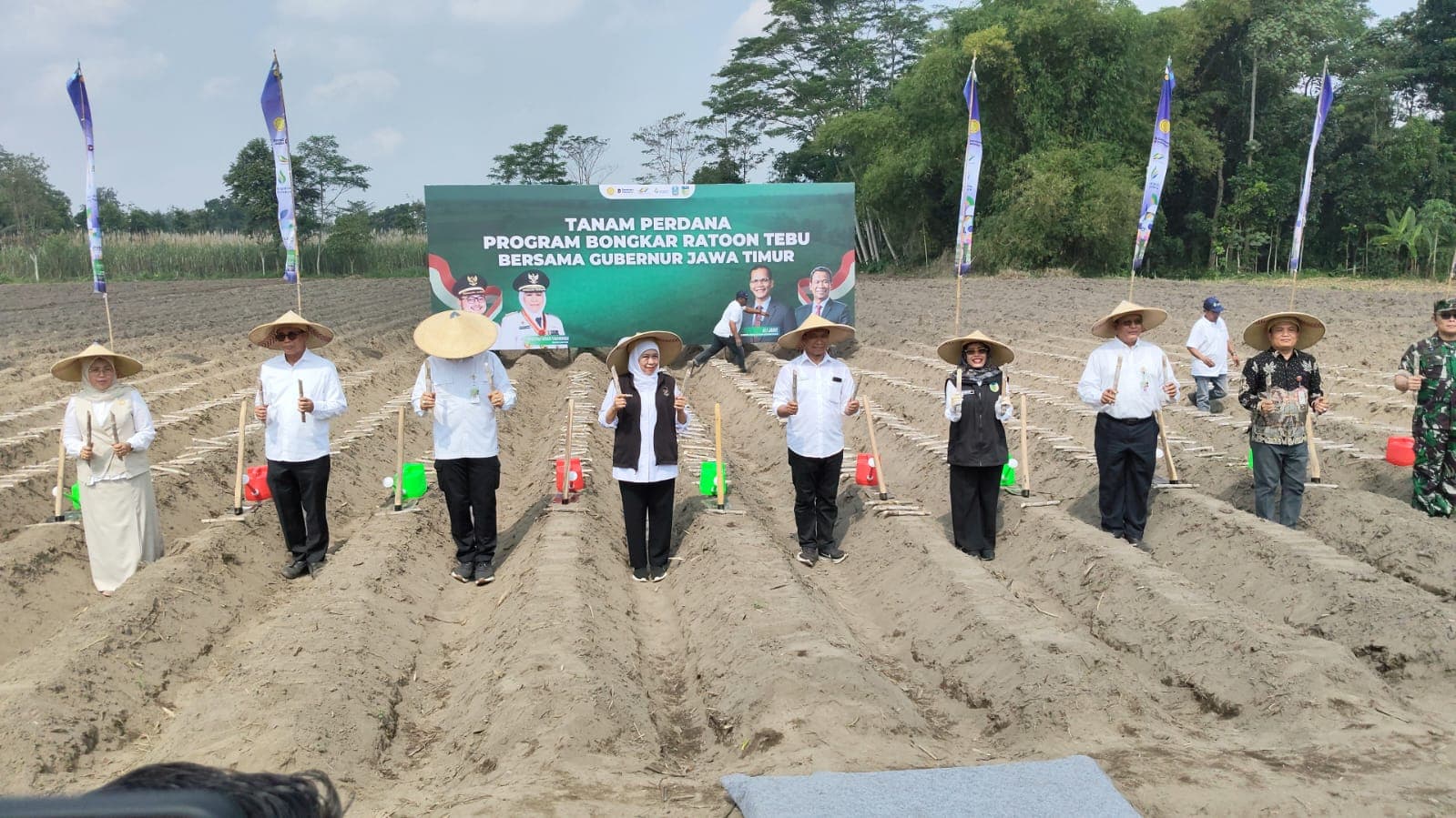 Jawa Timur Jadi Kunci Swasembada Gula Nasional Lewat Program Bongkar Ratoon
