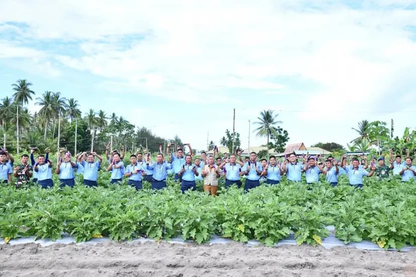 Panen Raya RSA Farm, Lanud Raden Sadjad Dorong Kemandirian Pangan di Natuna