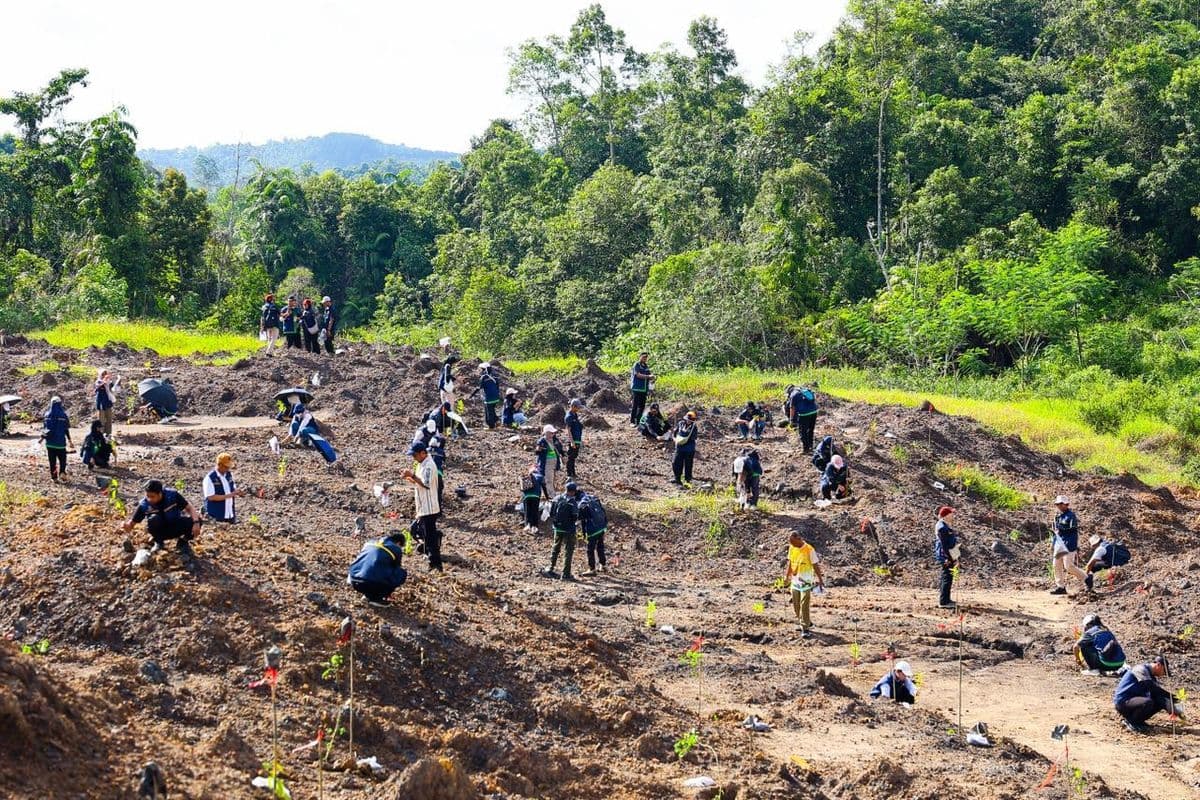 Otorita IKN Targetkan 65 Persen Kawasan Nusantara Tetap Menjadi Wilayah Lindung