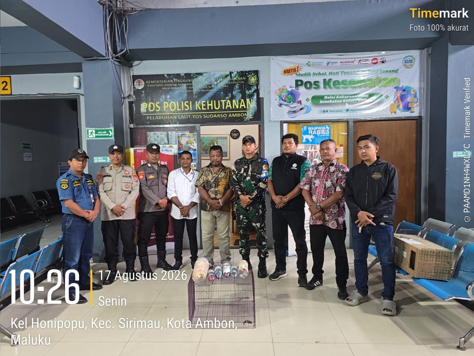 TNI AL dan Tim Gabungan Gagalkan Penyelundupan Satwa Dilindungi di Pelabuhan Ambon