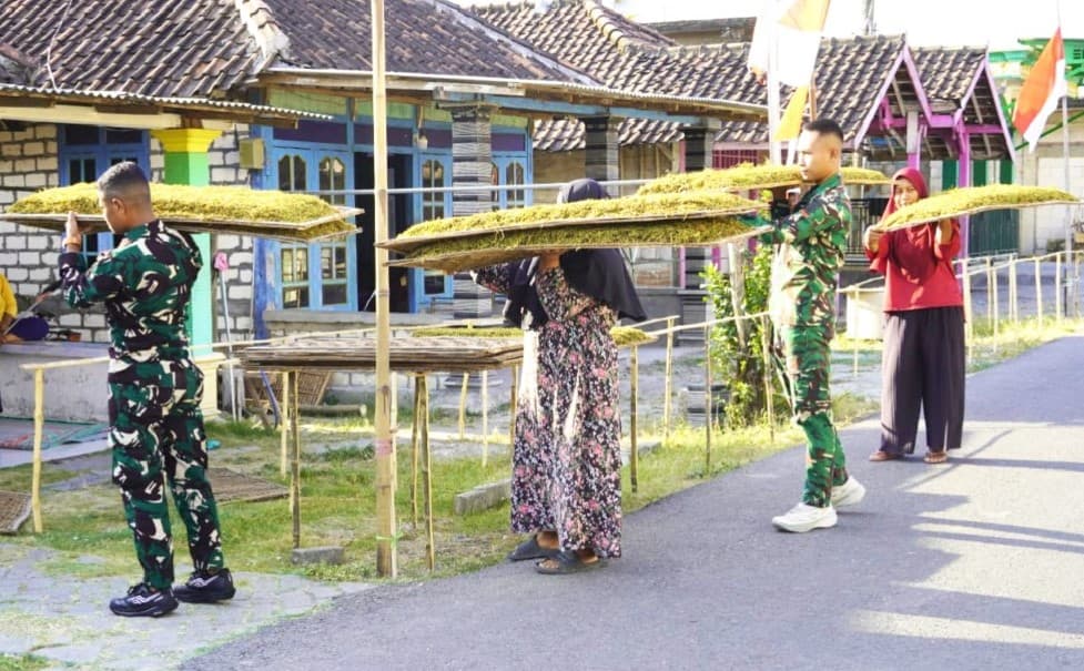 Satgas TMMD Bojonegoro Bantu Petani Olah Tembakau di Desa Kesongo