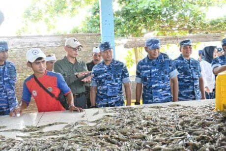 Budidaya Udang TNI AU: Inovasi Ketahanan Pangan dari Kearifan Lokal yang Patut Ditiru