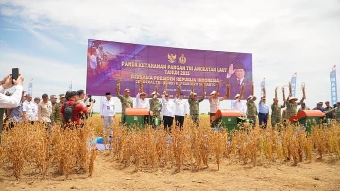 Lampung Mantapkan Posisi sebagai Lumbung Pangan Indonesia lewat Kolaborasi Pemerintah dan TNI