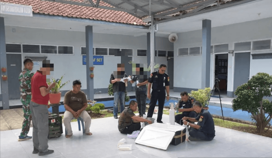 TNI AL Gagalkan Penyelundupan 5.859 Benih Lobster di Cilacap, Potensi Kerugian Negara Rp2,5 Miliar