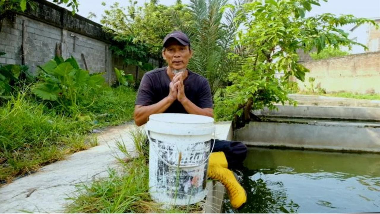 Program MBG Dongkrak Ekonomi Lokal: Permintaan Ikan Melonjak, Pembudidaya Kian Optimistis