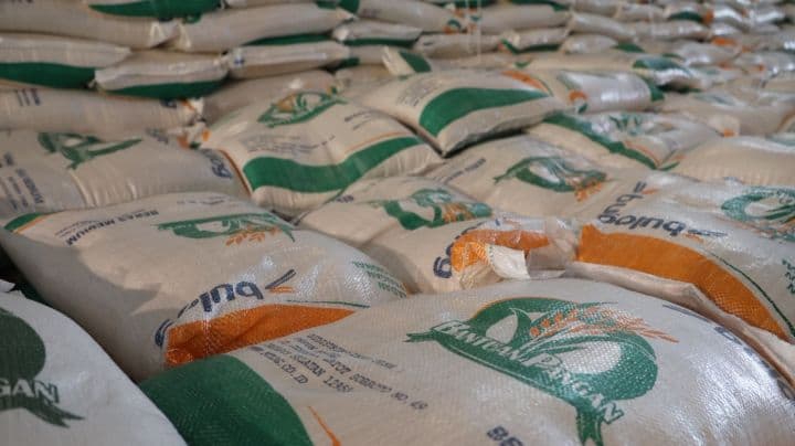 Mentan Pastikan Stok Beras Aman Hingga 11 Bulan, Capai Rekor Tertinggi Sepanjang Sejarah