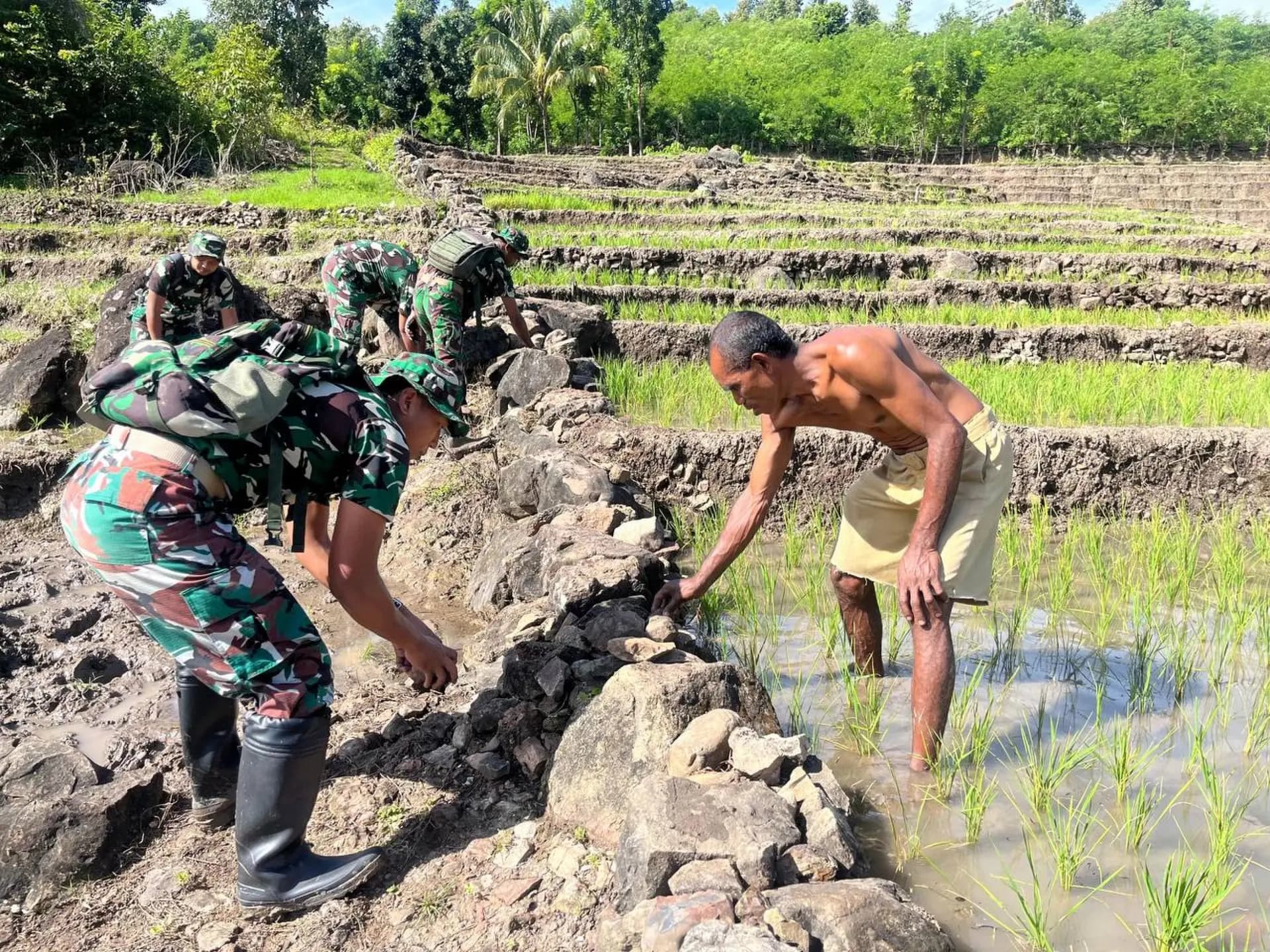 Satgas Pamtas RI-RDTL Perbaiki Tanggul Irigasi Sawah Warga di TTU