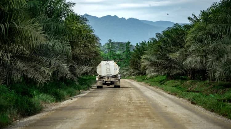 Biodiesel Dinilai Mampu Tekan Impor Solar, Akademisi Ingatkan Tata Kelola Sawit Berkelanjutan