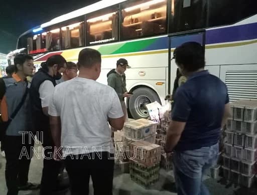 TNI AL Gagalkan Penyelundupan 620 Ekor Burung Ilegal di Pelabuhan Bakauheni