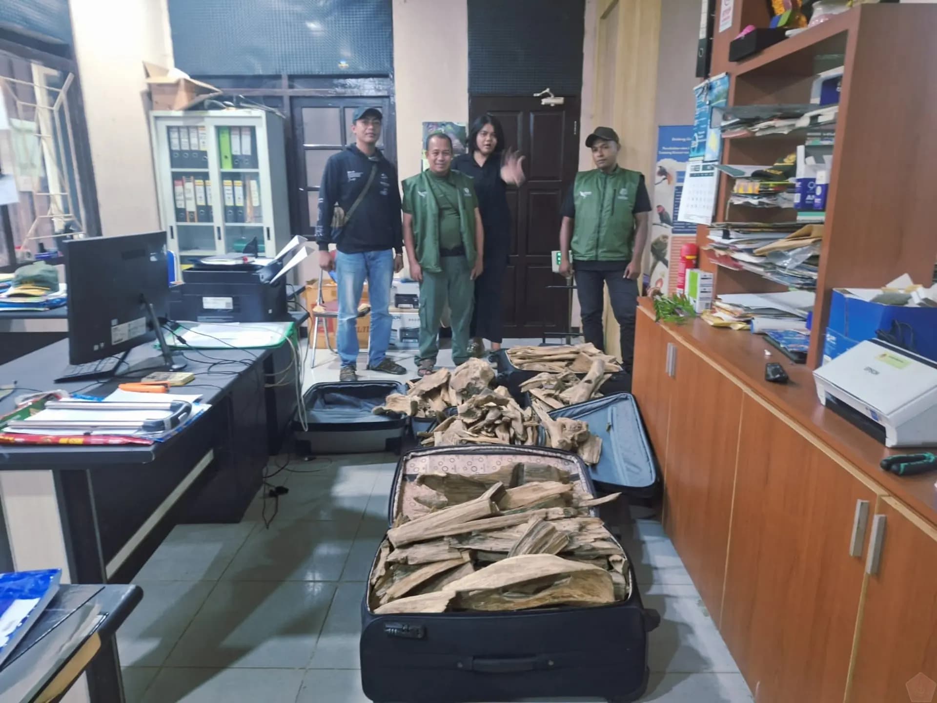 Sinergitas TNI AL dan BBKSDA Papua Barat Daya Gagalkan Penyelundupan Kayu Gaharu dan Satwa Dilindungi