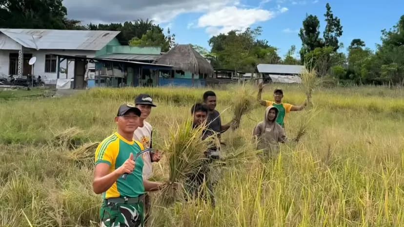 Yonarmed 12 Kostrad Panen Padi Bersama Warga Perbatasan di Dusun Kotasukaer