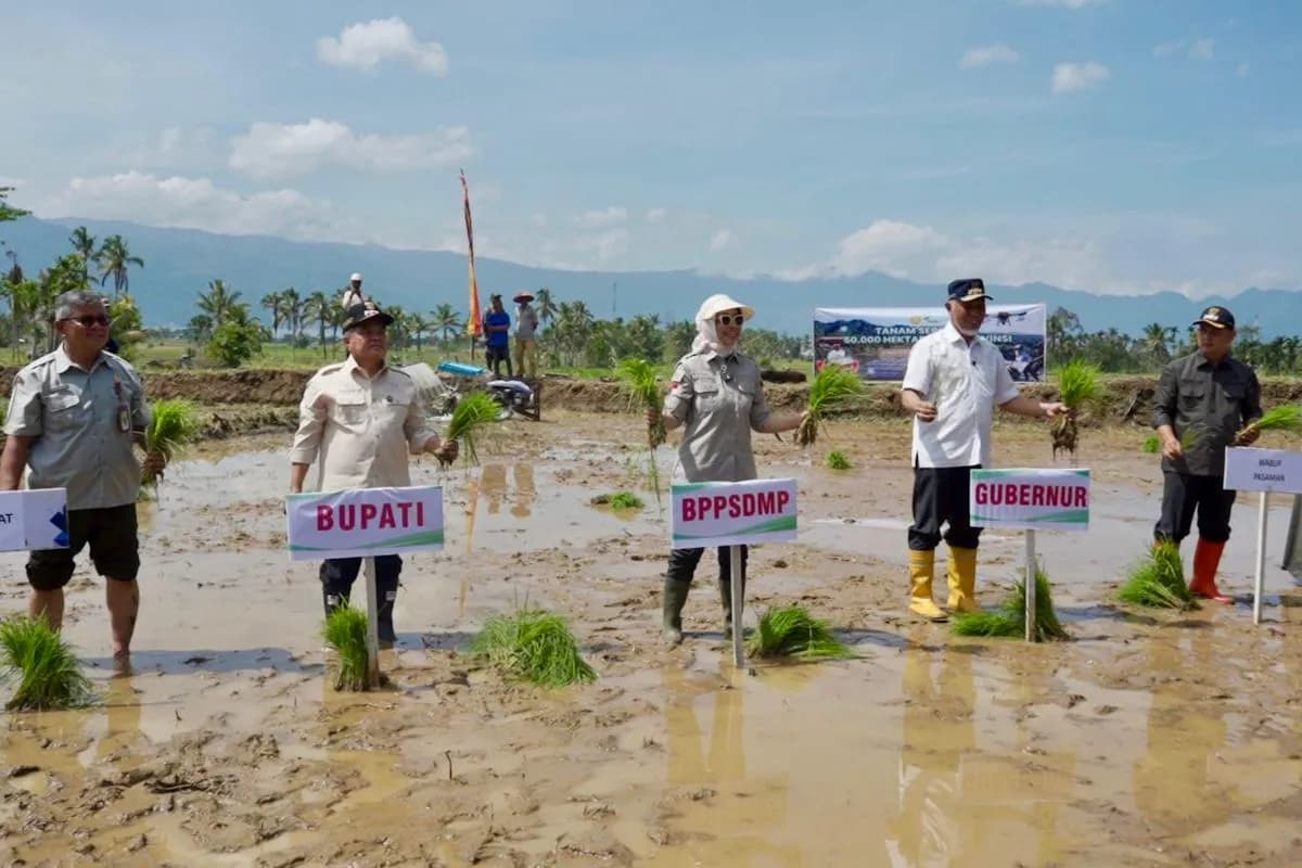Kementan Akselerasi Tanam Serentak 50 Ribu Hektare di 25 Provinsi Hadapi Ancaman Kekeringan