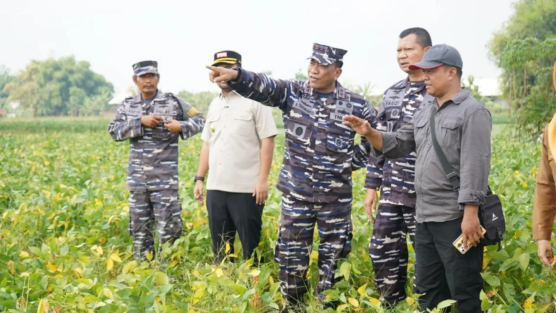 TNI AL Tinjau Persiapan Panen Raya Kedelai di Nganjuk, Dukung Ketahanan Pangan Nasional