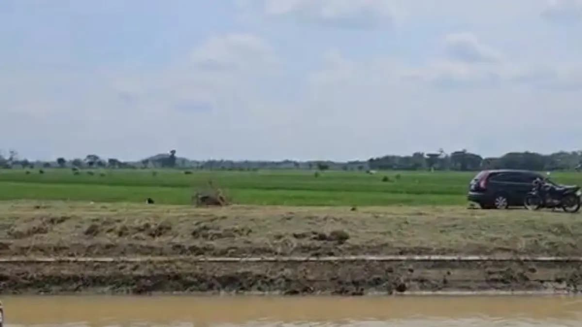 Kementan Percepat Pompanisasi di Sukoharjo, Antisipasi Kekeringan Dampak El Nino