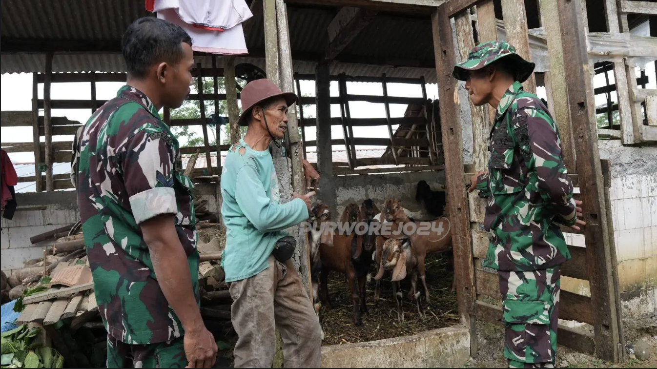 Satgas TMMD Kodim 0708/Purworejo Pererat Kemanunggalan dengan Warga Lewat Belajar Peternakan Kambing