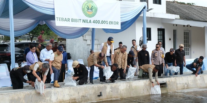 YSPN Tebar 400 Ribu Benih Nila untuk Pasok Program Makan Bergizi Gratis
