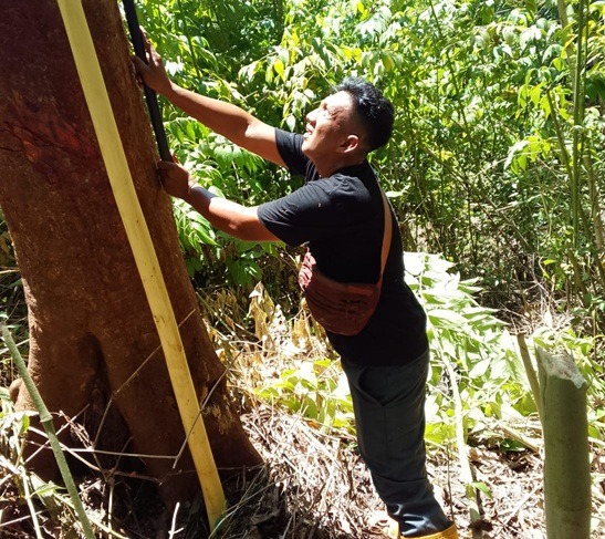 Pengukuran Lahan SMA Negeri Meepago Jadi Langkah Strategis Menuju Pembangunan Fasilitas Pendidikan 2026