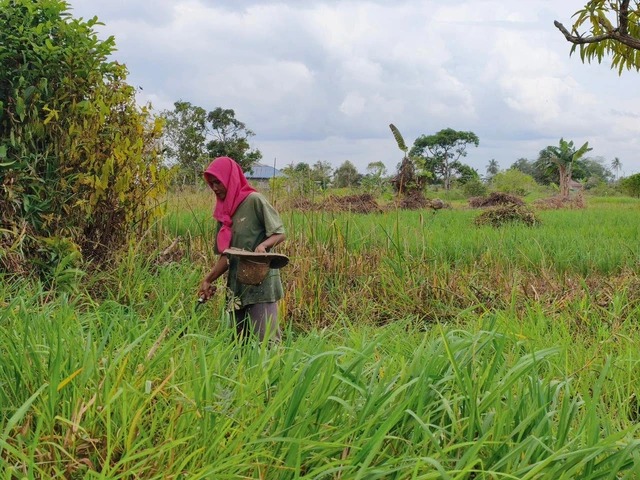 Program Sekolah Rakyat Bantu Keluarga Miskin di Kalsel Bangkit dari Kesulitan Ekonomi
